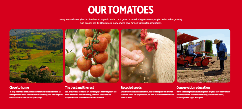 亨式的永續發展，是以番茄為出發。並立下2025年達成100%永續採購番茄。